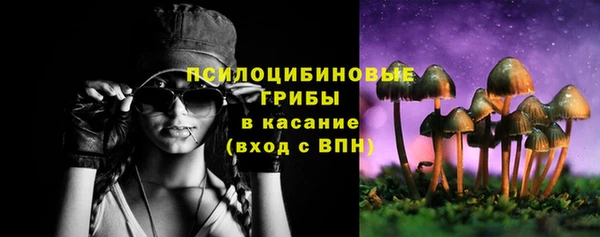 PSILOCYBIN Балабаново