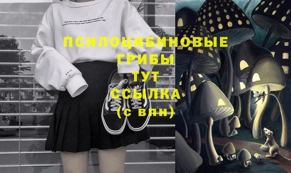 молекула духа Баксан