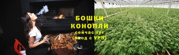 PSILOCYBIN Балабаново