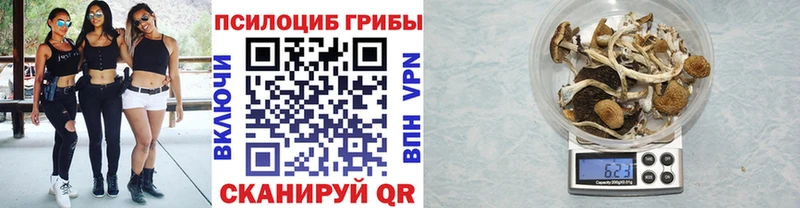 Галлюциногенные грибы мицелий  наркотики  Североморск 